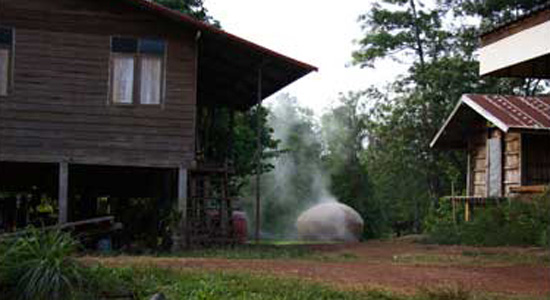 A Letter To Uncle Boonmee