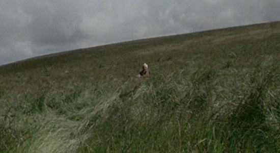 Listening To The Silences